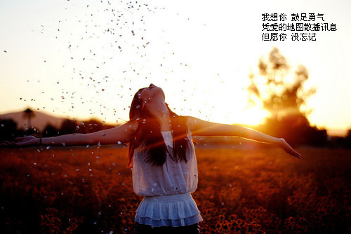 很有意境的空间图文素材 如果这都不算爱