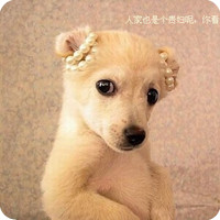 ���ֳ��ȵĿ�������QQͷ��_�������ǵ�����