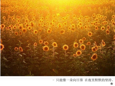 ������ͼ�Ŀռ��ز�_֪���ϵ۵İ���