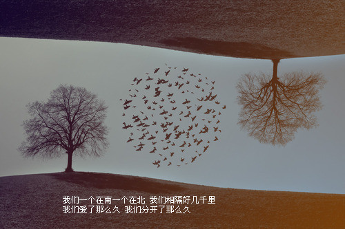 ������ͼ�Ŀռ��ز�_֪���ϵ۵İ���