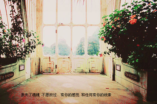 QQ�ռ�ͼ���ز�_������ȱϯ