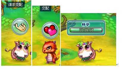 ���������³���������Ӧ�á��������֡�������ɾ���ڲ�