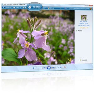windows live ��Ƭ��������· ��������Ƭ