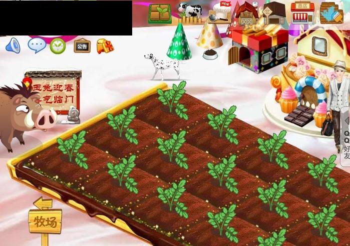 QQũ���³�װ�� ���տ���