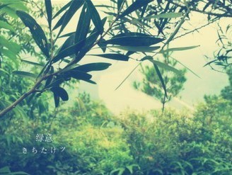 �����ĸо�_Ψ���⾳QQ�ռ�װ����ͼ