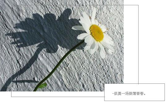 ������ǲ�������_�ÿ�����QQ�ռ�С��ͼƬ�ز�