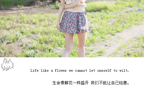 �������ʻ�һ��ʢ��_�����⾳����QQ�ռ��ز�