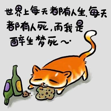 ��ѱ������̫����_�ܿɰ���è��ͼ�Ķ���