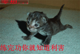 ����������ֵ�QQ���� Сè������󡹦