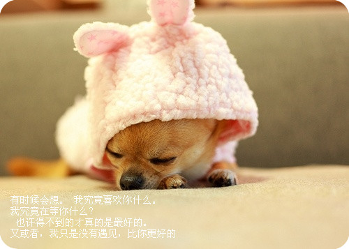 �������Ѿ�������_Ψ��QQ�ռ�������ͼ�ز�