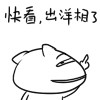 �ɰ��Ĺ�����èQQ����