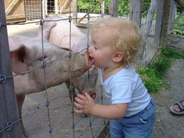 �ɰ�Baby