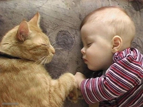 �ɰ���ŷ�����ռ��ز� �Ҹ���ֻ������