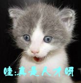 �ǳ���Ц��QQ�����ȫ