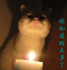 �ǳ���Ц��QQ�����ȫ