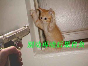 �ǳ���Ц��QQ�����ȫ