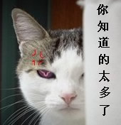 �ǳ���Ц��QQ�����ȫ