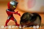 �ǳ���Ц��QQ�����ȫ