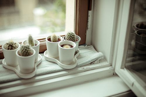 �߲���ǽ��ӳ���ҵĻ���_Ψ�����Ŀռ��ز�