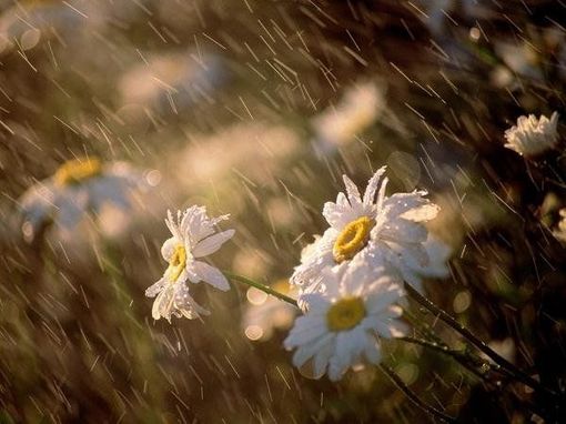 ˭��Ϊ�ҳ�ɡ_����⾳��QQ�ռ��ز�