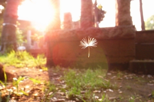 ˭��Ϊ�ҳ�ɡ_����⾳��QQ�ռ��ز�