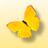 iread����3.0993  �ٷ���װ��