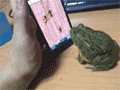 ���Ⱥ�Ķ�̬ͼƬ Y����̫���� ��û��׼����