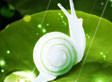qq2012Ƥ����ô����qq2012��ô��Ƥ����