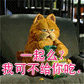 ��㶯��qq���� �ɰ��Ķ���qq�����ȫ