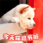 2013���˽�qq�����ȫ ��Ц��ֵ����˽�qq����