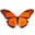 butterfly on desktop1.0 �������ļ���