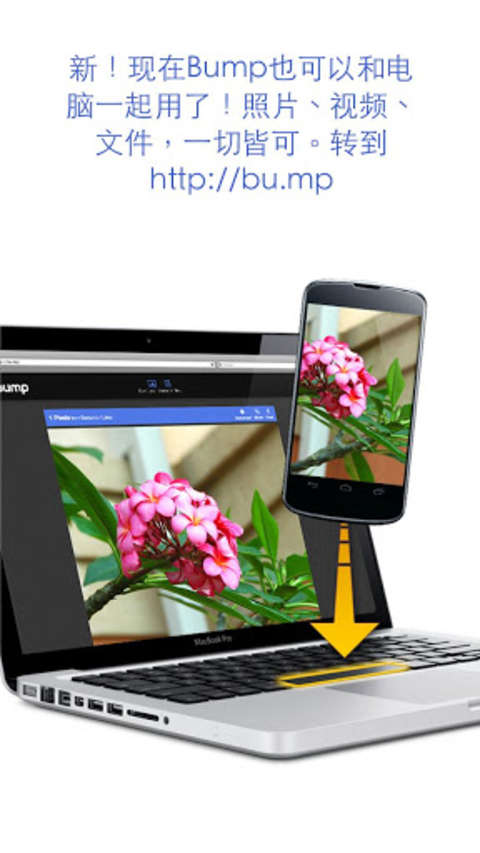 Bump����v3.7.1