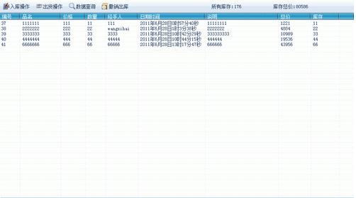 红星存货管理下载1.0 绿色免费版