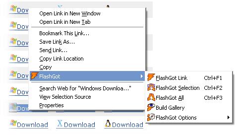 ������ع�(FlashGot)1.5.6.3 �����