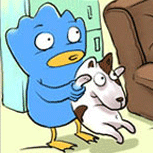 ��qq���������