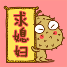 ��������qq���������