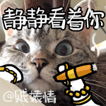 nala�����˸�Ц���� ���������nala��̬QQ����