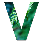 ��ҳ�������Flux for Mac5.6.6 �ٷ���