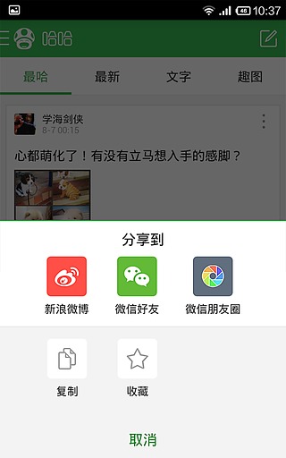 ���ι���v2.0.6