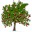 WinDirStat����������1.1.2.79 ��ɫ��