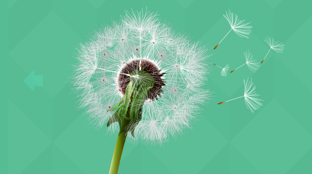 �ѹ�ӢMAC�ͻ���1.2 �ٷ�������