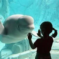 �Ҹ�qq����ͷ��һ��һŮ���� 2014�ÿ�������ͷ������