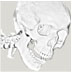 �ǻ��ֵ�Ashdict2.0 ��ɫ��