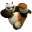 ����QQ��������1.0