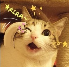 ��Ƥè���ȱ���ͼƬ