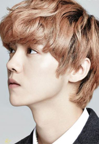 EXOͼƬ��ȫ2014���°�� ˧��EXO�ռ�Ƥ���ز�