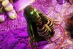 ���3ԭ�����ȥ ԭ���ѩ��صĳǱ���ô����