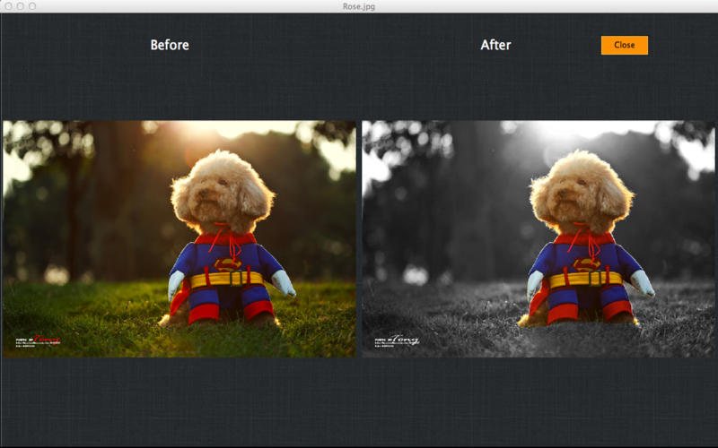 My Splash Effects for MacͼƬ�༭1.6.0 �ٷ���