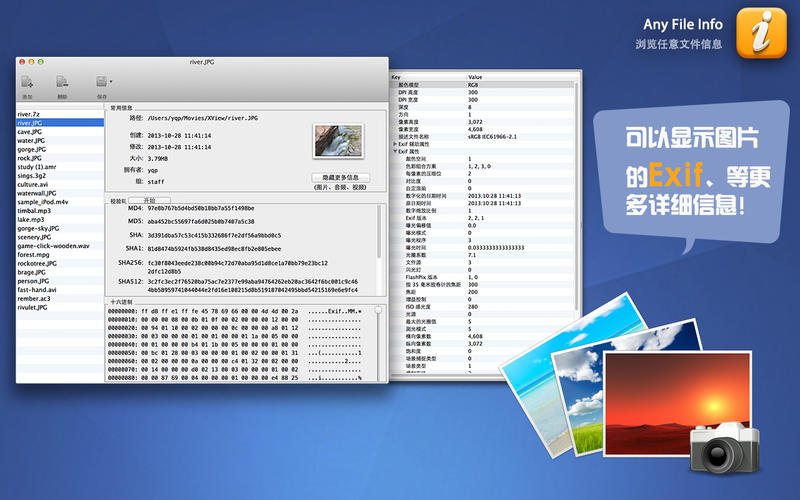 Any File Info for Mac����1.4.0 �ٷ���
