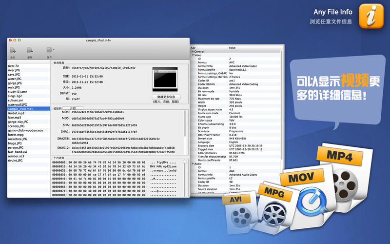 Any File Info for Mac����1.4.0 �ٷ���